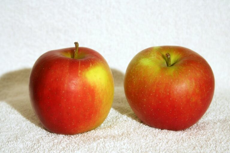 Jabłka Jonagold – duże, smaczne i kruche jabłka z Ameryki