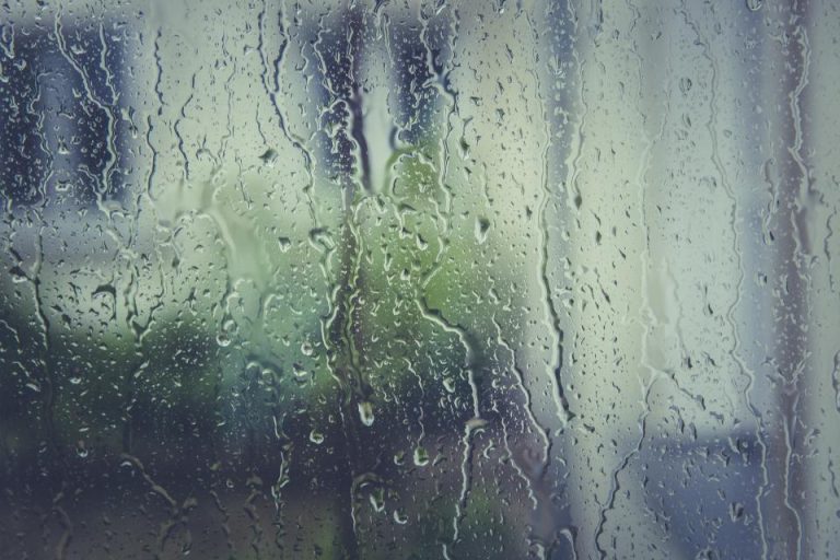 Sennik: deszcz. Co oznacza sen o ulewie lub mżawce? [zmoknąć, za oknem, iść, wichura]